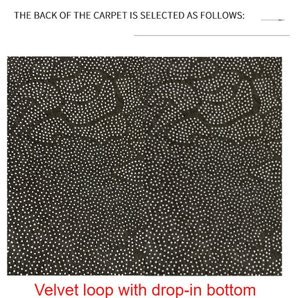 Stain Resistant Washable Area Rug Living Room Large Rugs Low-Pile Carpet for Dining Kitchen Room Bedroom Bed Side rugs and carpet