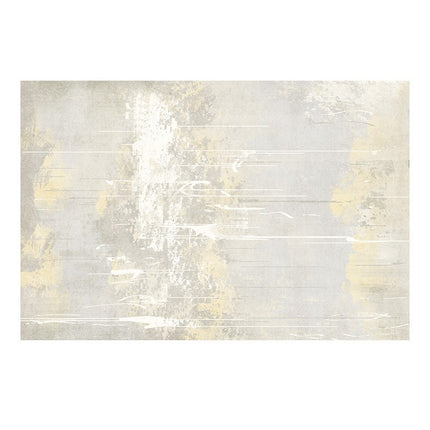 Abstract Area Rugs Minimalist Carpet Indoor Rugs And Carpets Rug for Living Room Bedroom