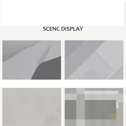 Indoor Area Rugs for Living Room Minimalist Lines Abstract Carpets Modern Geometric Carpet
