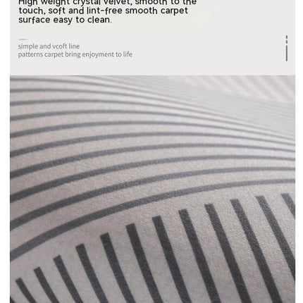 Large Area Rugs for Living Room Minimalist Lines Abstract Carpets Modern Geometric Carpet