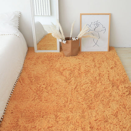 Area Rugs for Living Room Fluffy Carpet Soft Plush Furry Bedside Rug Indoor Carpets