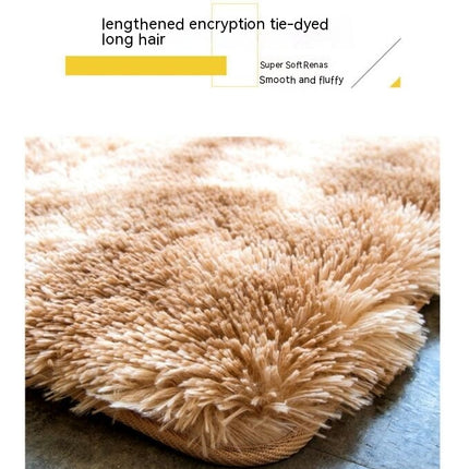 Area Rugs for Living Room Fluffy Carpet Soft Plush Furry Bedside Rug Indoor Carpets