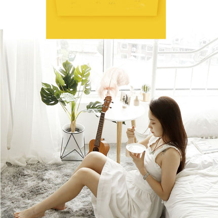 Area Rugs for Living Room Fluffy Carpet Soft Plush Furry Bedside Rug Indoor Carpets