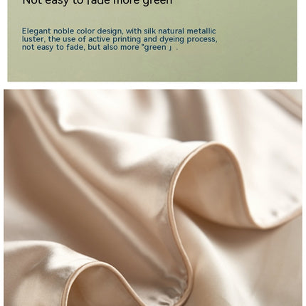 2PACK Silk Pillowcase for Hair and Skin - Large, Mulberry Silk Pillowcase Silk Simple Pillowcase in Solid Colors