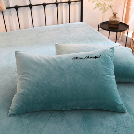 2PACK de taies d'oreiller brodées en velours cristal, paquet de paires, taies d'oreiller simples en velours de corail épais d'hiver, taies d'oreiller en flanelle chaude