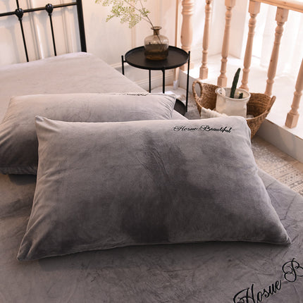 2PACK de taies d'oreiller brodées en velours cristal, paquet de paires, taies d'oreiller simples en velours de corail épais d'hiver, taies d'oreiller en flanelle chaude