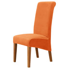 19 # Orange