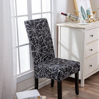 toile d'araignée