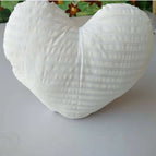 Pillow core