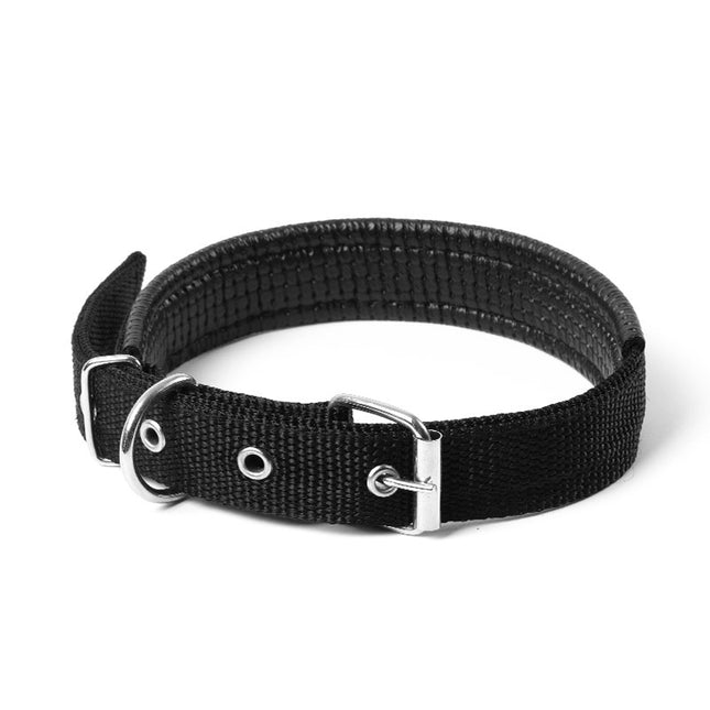 Adjustable Soft Padded Dog Collar with Metal Buckle, Belt Buckle Dog Collars